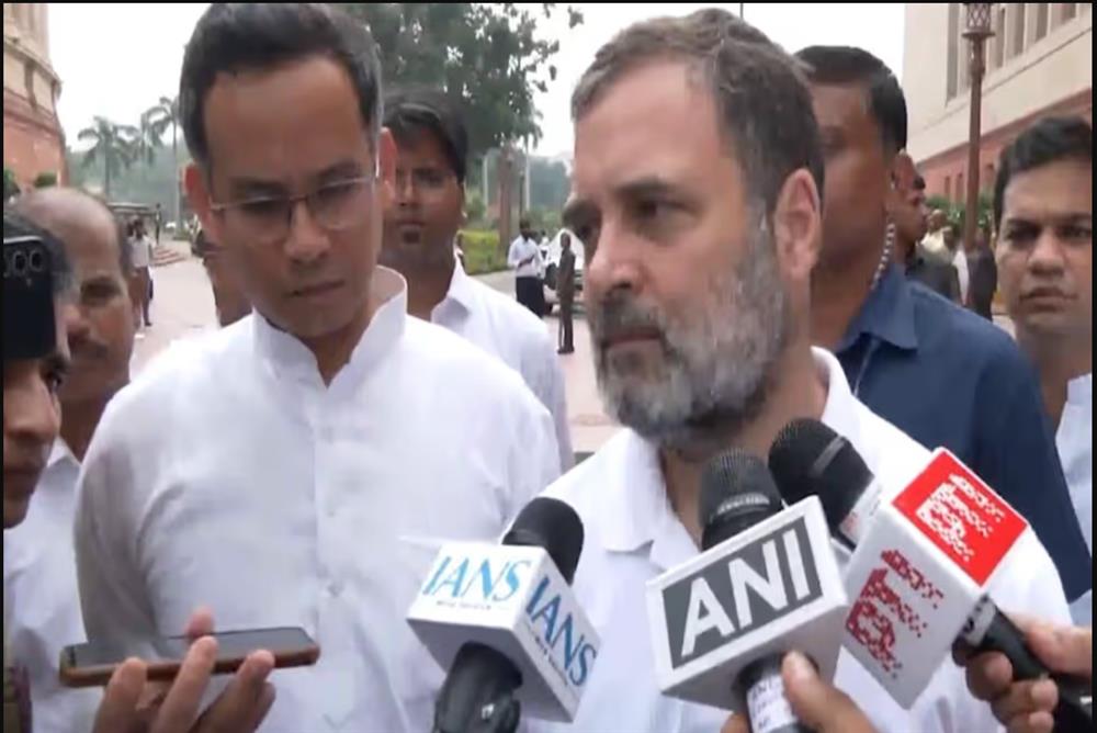 Rahul Gandhi’s comments on Indian economy display shocking lack of maturity